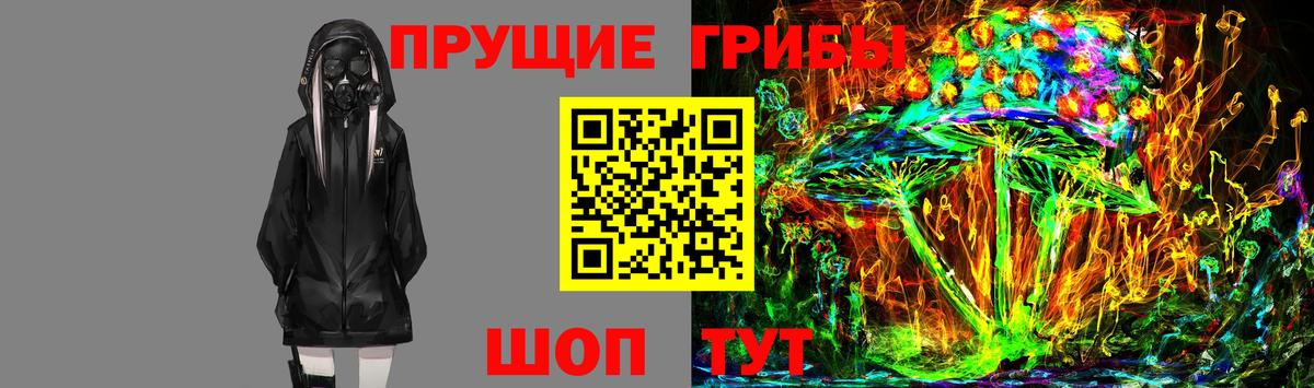 Алейск  Галлюциногенные грибы мицелий  купить наркотик  Вход с VPN 