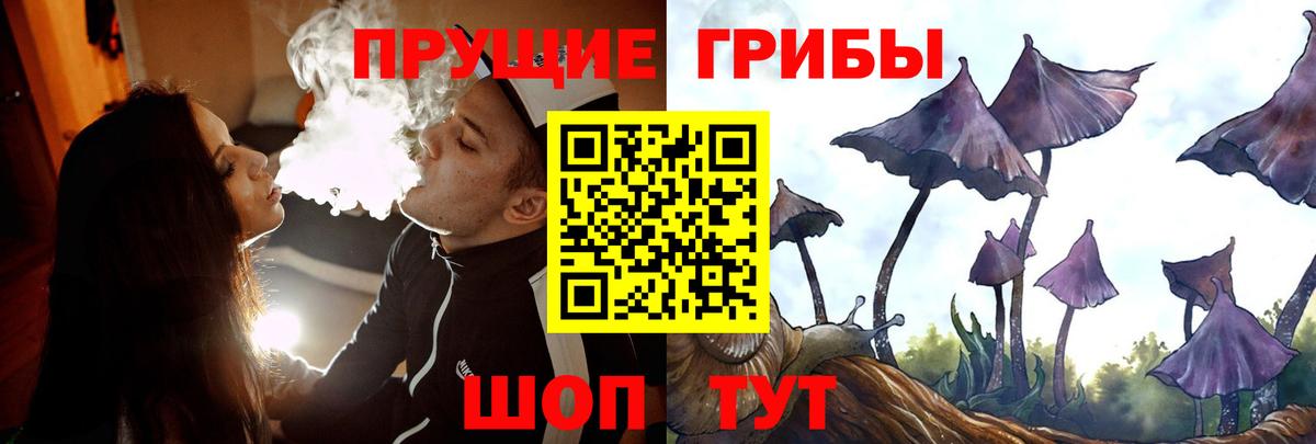 Псилоцибиновые грибы мухоморы Алейск